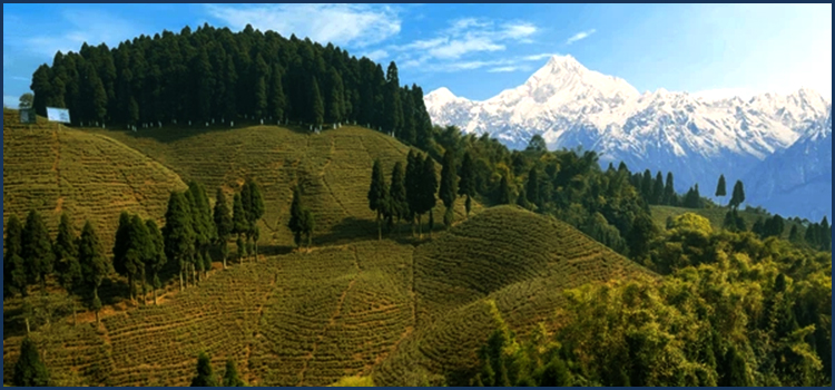 Darjeeling Tour Package