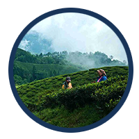 Darjeeling Tour Package