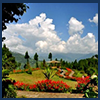 Kalimpong tour package