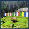 Darjeeling tour package