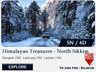 Yumthang Gurudongmar Lake North Sikkim Tour Package 5N 6D