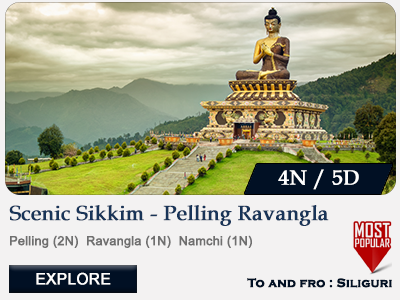 Pelling Ravangla Namchi Tour Package 4N 5D