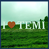 Temi tea garden tour